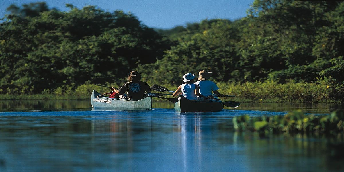 Brazil Pantanal Landscape