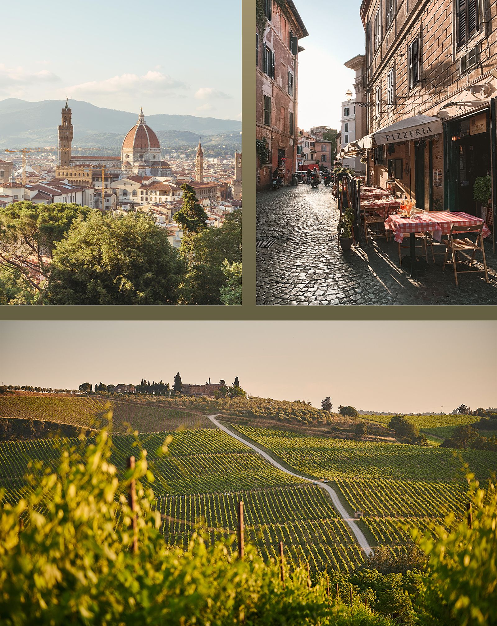 Fall Collage of Duomo and Tuscan Vineyard