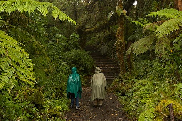 Hiking in Costa Rica