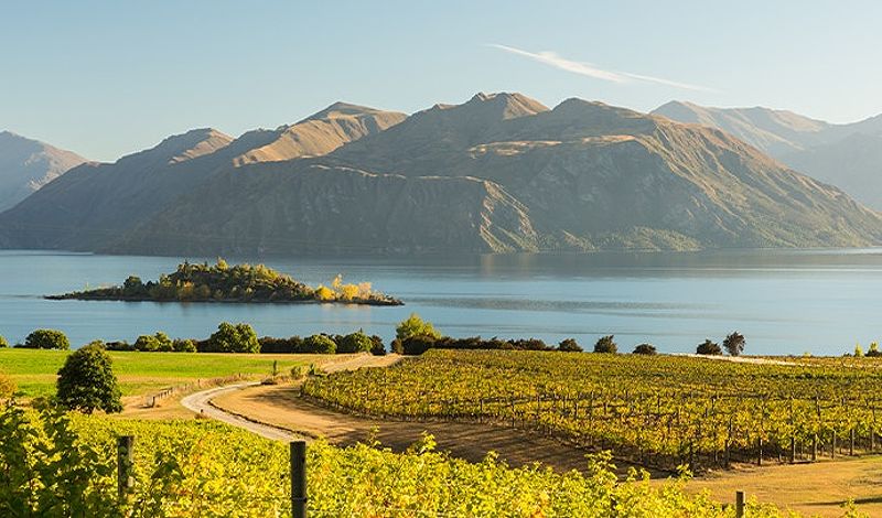 Hiking in New Zealand