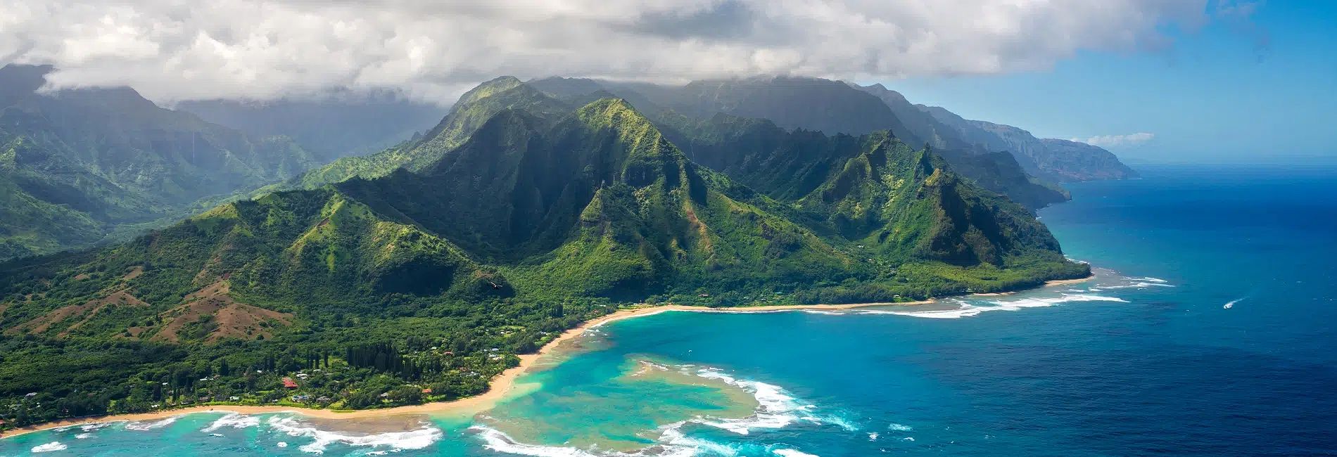 Humpback whales migrating in Hawaii