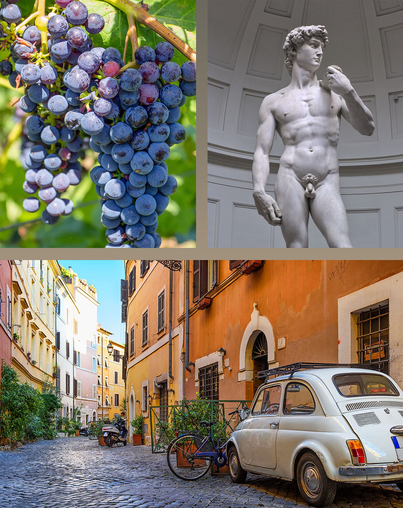 Spring Collage of Grapes, David, and Vintage Fiat