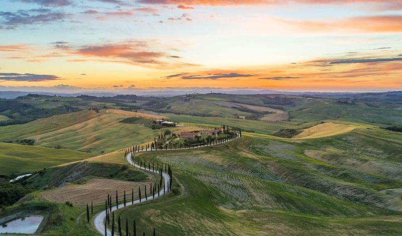 Wine vineyard in Tuscany