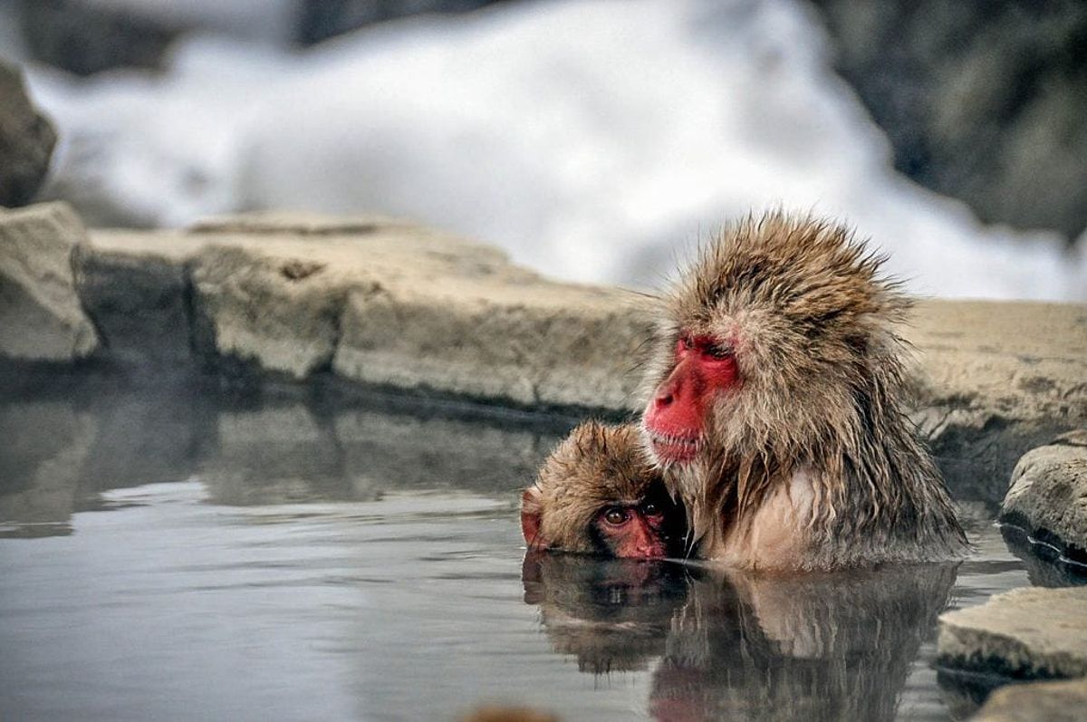 Winter onsen experience in Japan