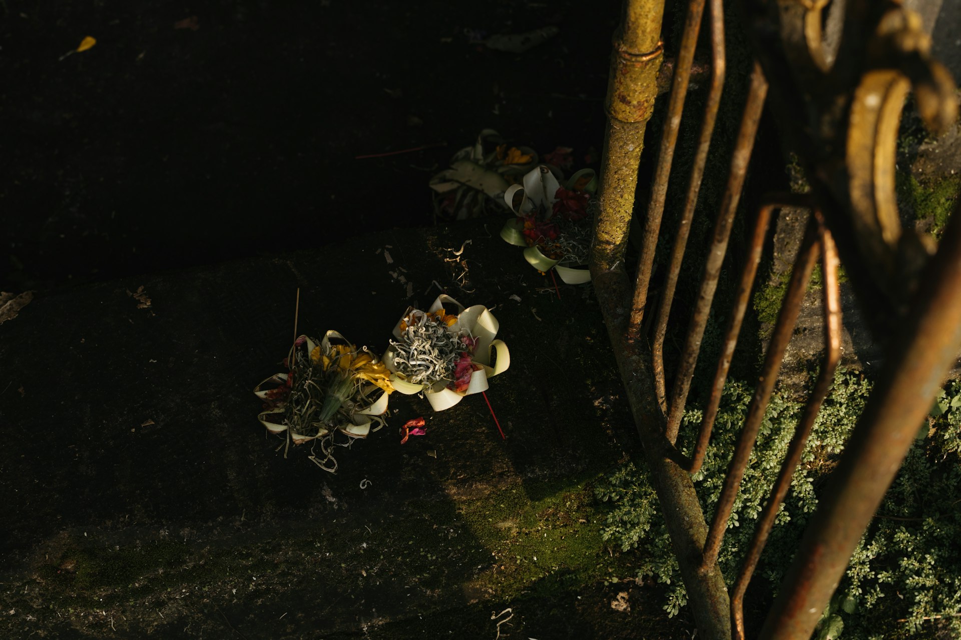 Mastering Cooperative Gameplay Mechanics in Survival Games: Strategies, Roles, and Real-World Examples